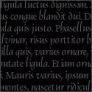 Do your layouts deserve better than Lorem Ipsum? Apply as an art director and team up with the best copywriters at Jung von Matt: www.jvm.com/jobs/lipsum  Lorem ipsum dolor sit amet, consectetur adipiscing elit.